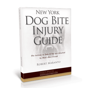 New York Dog Bite Injury Guide