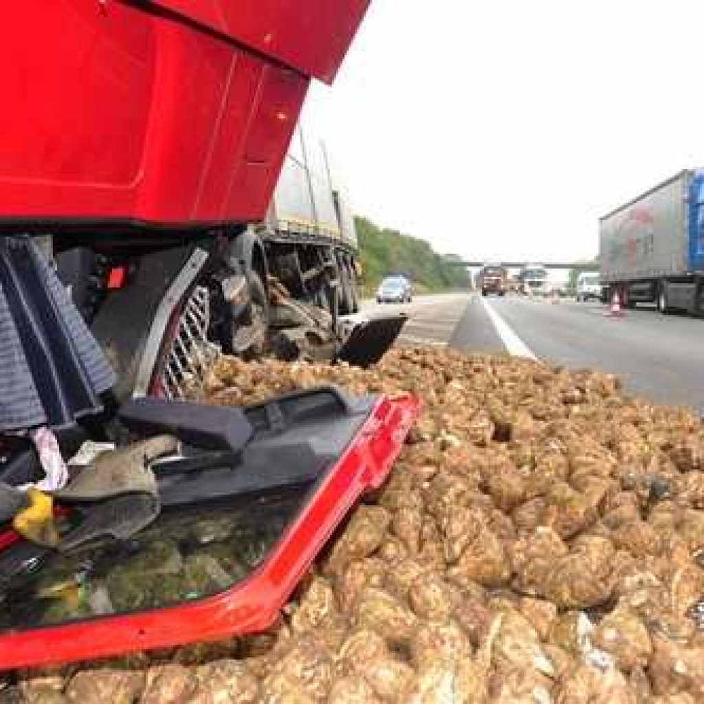 What to Do After a Truck Accident