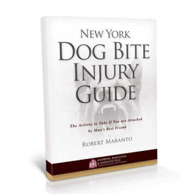 New York Dog Bite Injury Guide