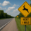 Deer-Strike Chain-Reaction Crashes and How to Get Compensated When Another Driver Causes the Pileup