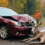 Car Accident Injuries During WNY Hunting Season: Claims Against Drivers and Landowners