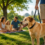 Dog Bite Injuries Increase in Summer: What Buffalo Families Should Know