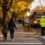 Buffalo Pedestrian Accidents: How Fall School Traffic Raises Risks