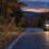 Who Is Liable for a Deer Collision in New York?